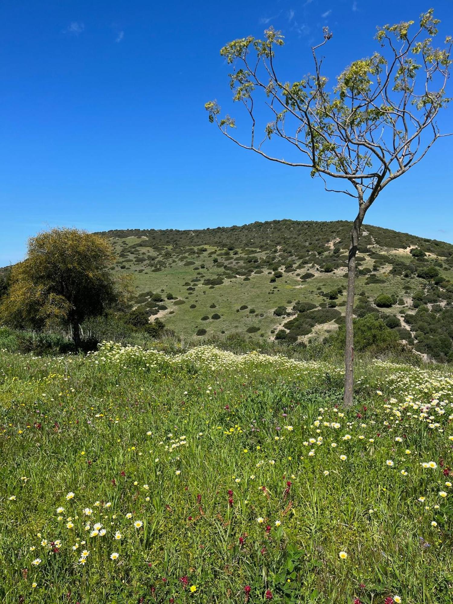 Finca La Vina Вехер де ла Фронтера Екстериор снимка